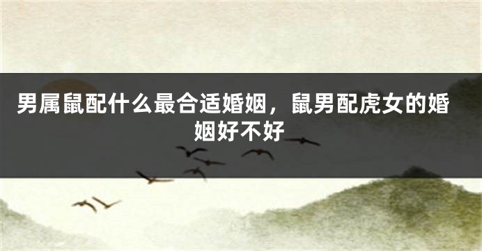 男属鼠配什么最合适婚姻，鼠男配虎女的婚姻好不好