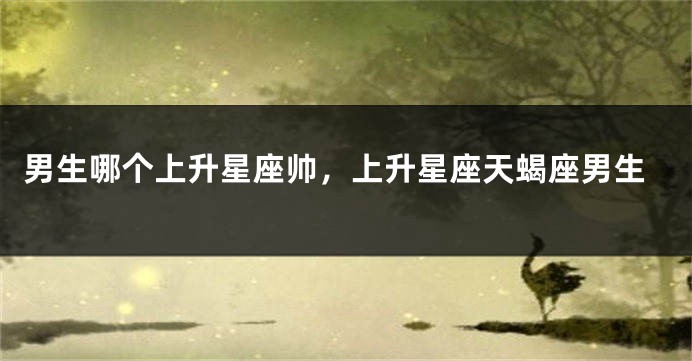男生哪个上升星座帅，上升星座天蝎座男生
