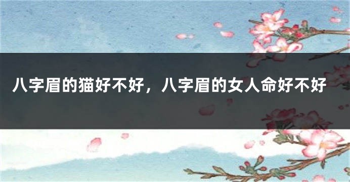 八字眉的猫好不好，八字眉的女人命好不好