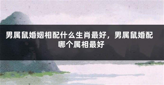 男属鼠婚姻相配什么生肖最好，男属鼠婚配哪个属相最好