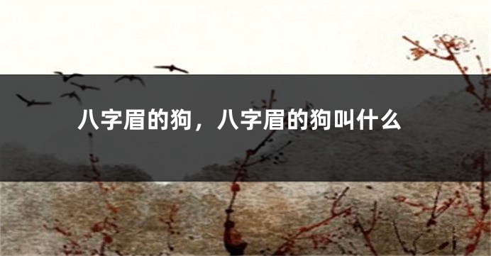 八字眉的狗，八字眉的狗叫什么