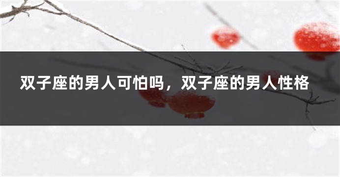 双子座的男人可怕吗，双子座的男人性格