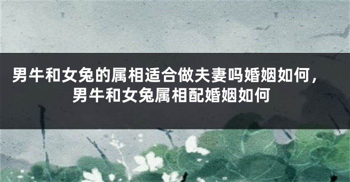 男牛和女兔的属相适合做夫妻吗婚姻如何，男牛和女兔属相配婚姻如何