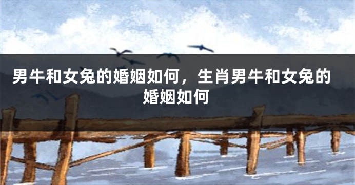 男牛和女兔的婚姻如何，生肖男牛和女兔的婚姻如何