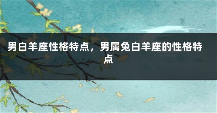 男白羊座性格特点,男属兔白羊座的性格特点