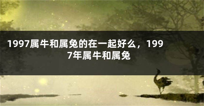 1997属牛和属兔的在一起好么,1997年属牛和属兔