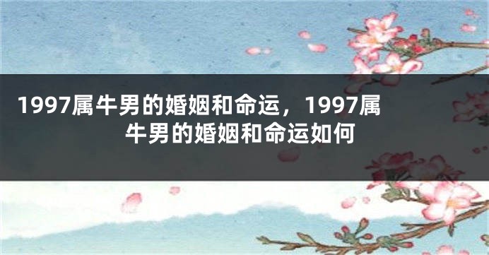 1997属牛男的婚姻和命运，1997属牛男的婚姻和命运如何