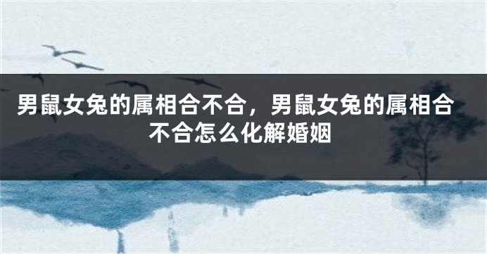 男鼠女兔的属相合不合，男鼠女兔的属相合不合怎么化解婚姻