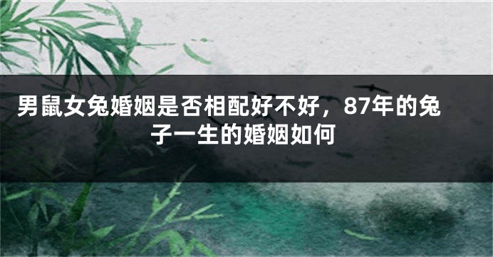 男鼠女兔婚姻是否相配好不好，87年的兔子一生的婚姻如何