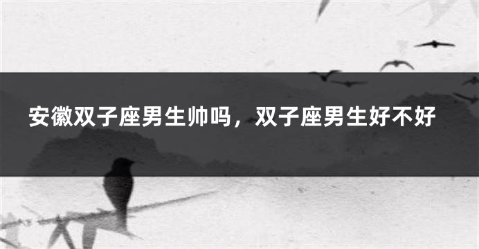 安徽双子座男生帅吗,双子座男生好不好
