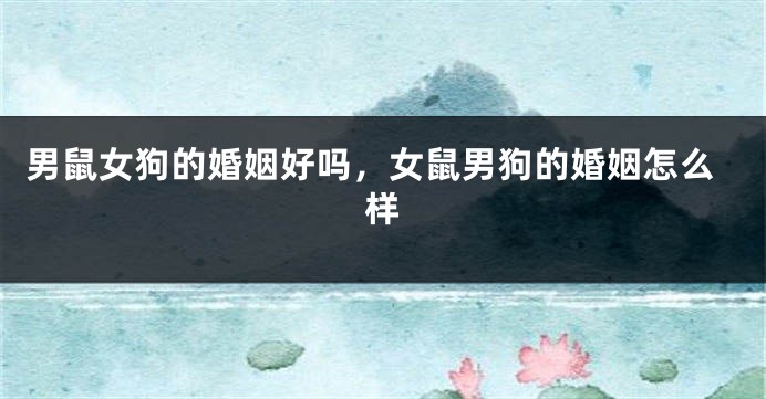 男鼠女狗的婚姻好吗，女鼠男狗的婚姻怎么样