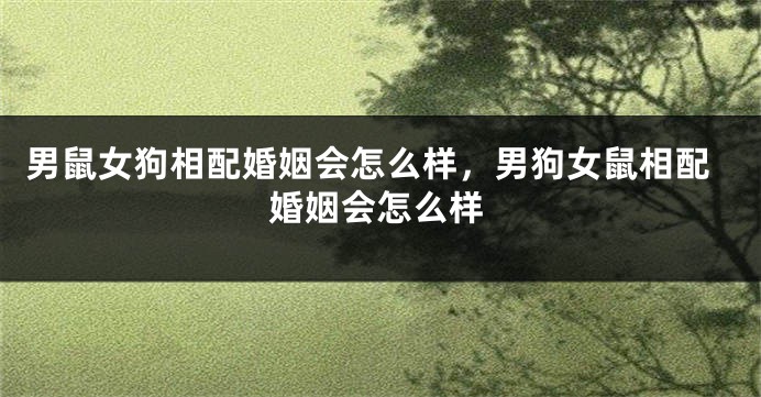 男鼠女狗相配婚姻会怎么样，男狗女鼠相配婚姻会怎么样
