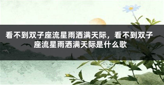 看不到双子座流星雨洒满天际，看不到双子座流星雨洒满天际是什么歌