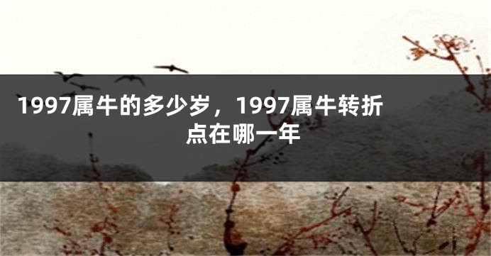 1997属牛的多少岁,1997属牛转折点在哪一年