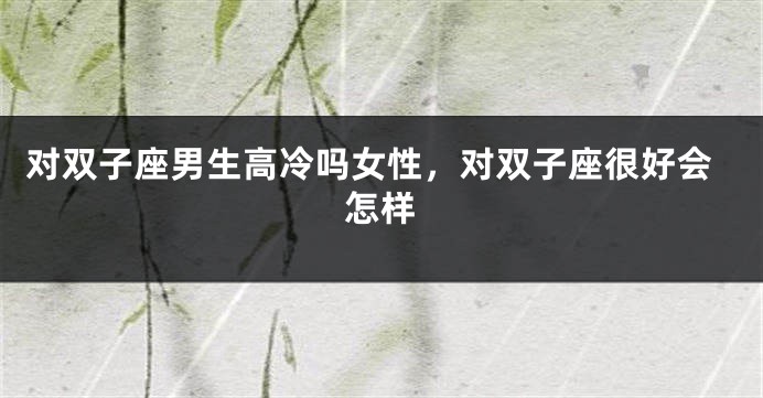 对双子座男生高冷吗女性，对双子座很好会怎样