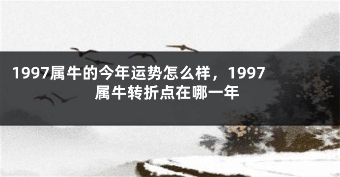 1997属牛的今年运势怎么样，1997属牛转折点在哪一年