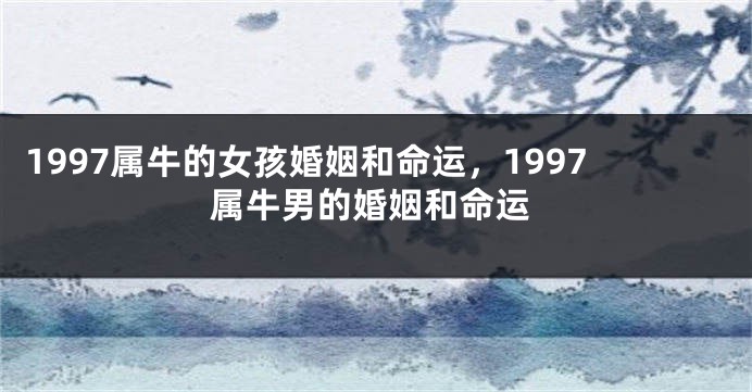 1997属牛的女孩婚姻和命运,1997属牛男的婚姻和命运