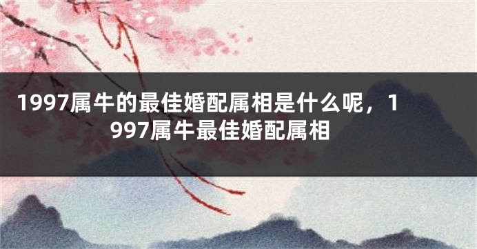 1997属牛的最佳婚配属相是什么呢，1997属牛最佳婚配属相