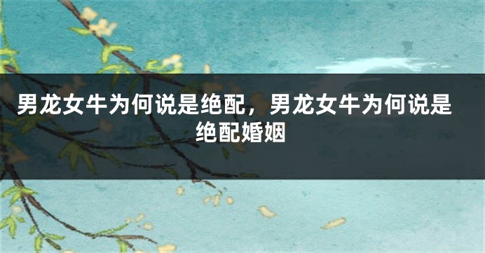 男龙女牛为何说是绝配，男龙女牛为何说是绝配婚姻