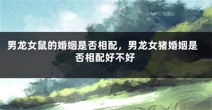 男龙女鼠的婚姻是否相配，男龙女猪婚姻是否相配好不好