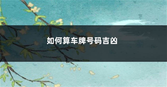 如何算车牌号码吉凶