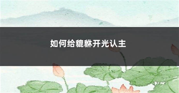 如何给貔貅开光认主