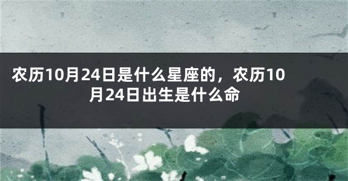 农历10月24日是什么星座的，农历10月24日出生是什么命
