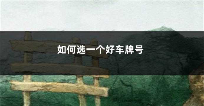 如何选一个好车牌号