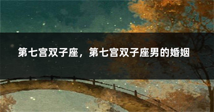 第七宫双子座，第七宫双子座男的婚姻