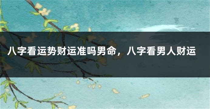 八字看运势财运准吗男命,八字看男人财运