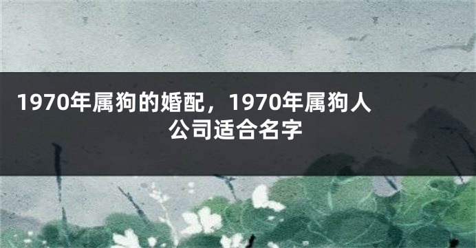1970年属狗的婚配,1970年属狗人公司适合名字