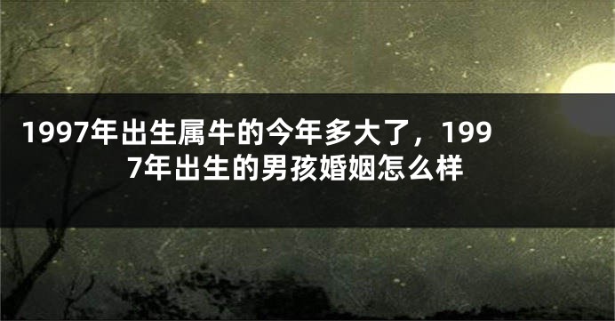 1997年出生属牛的今年多大了，1997年出生的男孩婚姻怎么样