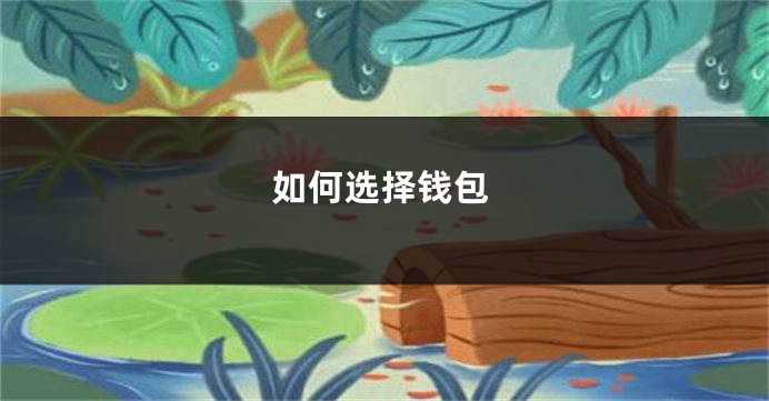 如何选择钱包