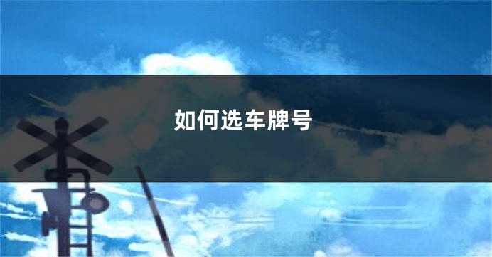 如何选车牌号