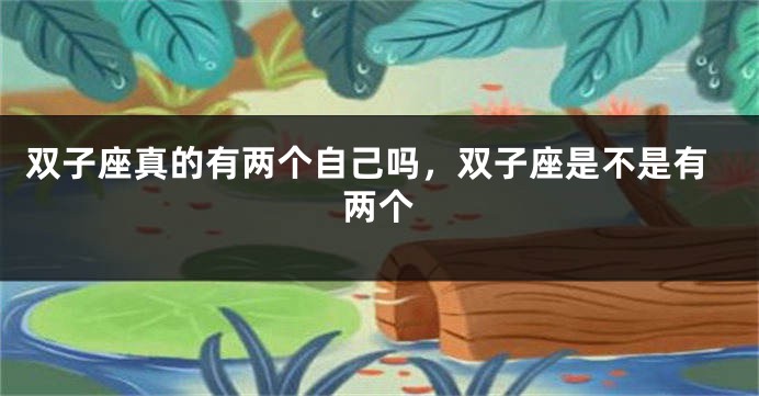 双子座真的有两个自己吗，双子座是不是有两个