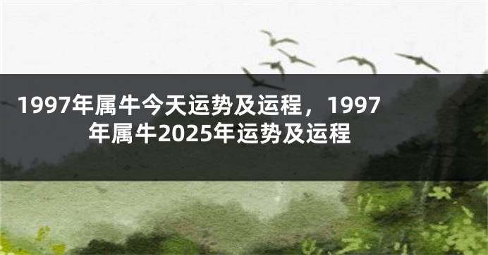 1997年属牛今天运势及运程，1997年属牛2025年运势及运程