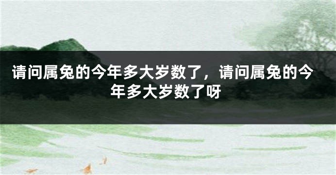 请问属兔的今年多大岁数了，请问属兔的今年多大岁数了呀