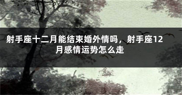射手座十二月能结束婚外情吗，射手座12月感情运势怎么走