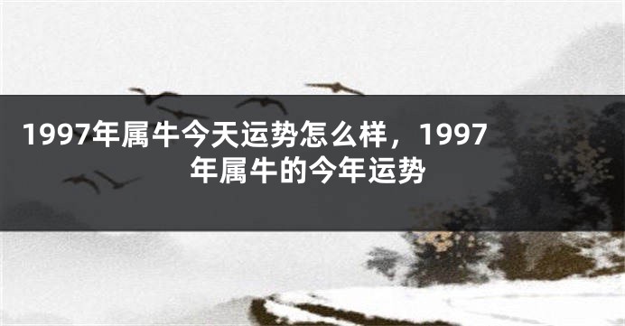 1997年属牛今天运势怎么样，1997年属牛的今年运势
