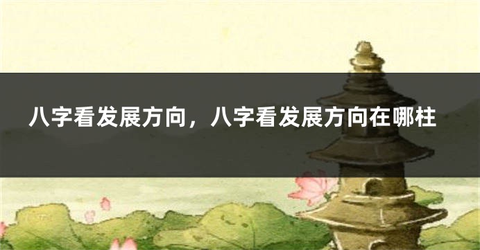 八字看发展方向，八字看发展方向在哪柱