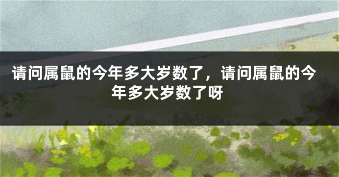 请问属鼠的今年多大岁数了，请问属鼠的今年多大岁数了呀