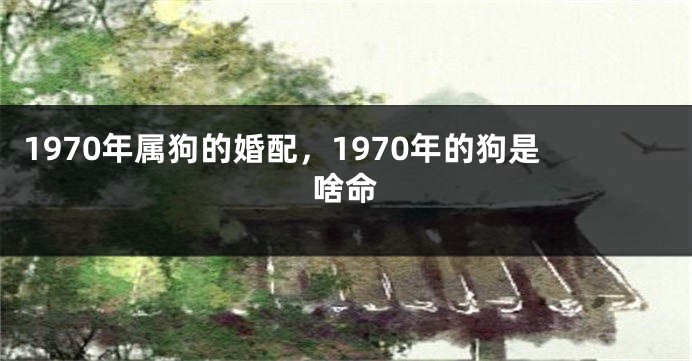 1970年属狗的婚配，1970年的狗是啥命