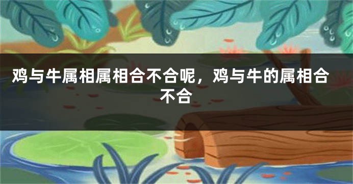 鸡与牛属相属相合不合呢，鸡与牛的属相合不合