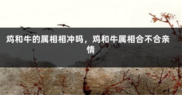 鸡和牛的属相相冲吗，鸡和牛属相合不合亲情
