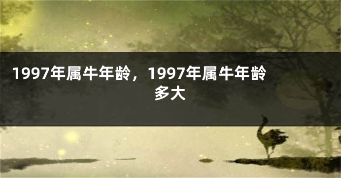 1997年属牛年龄,1997年属牛年龄多大