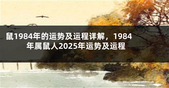鼠1984年的运势及运程详解，1984年属鼠人2025年运势及运程