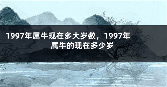 1997年属牛现在多大岁数，1997年属牛的现在多少岁