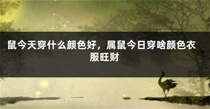 鼠今天穿什么颜色好，属鼠今日穿啥颜色衣服旺财