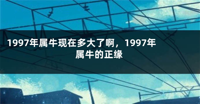 1997年属牛现在多大了啊，1997年属牛的正缘
