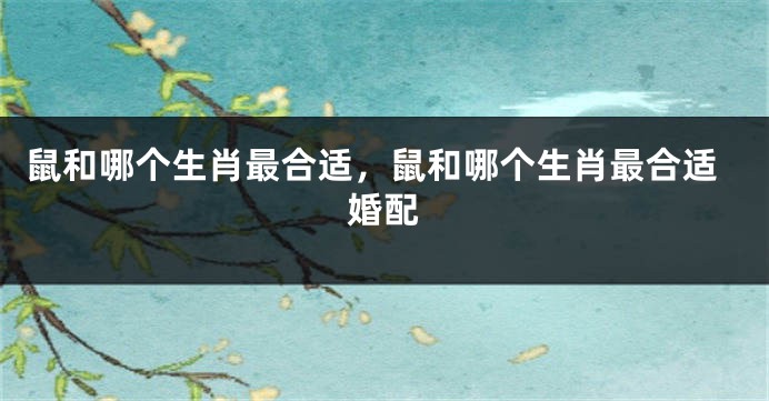 鼠和哪个生肖最合适，鼠和哪个生肖最合适婚配